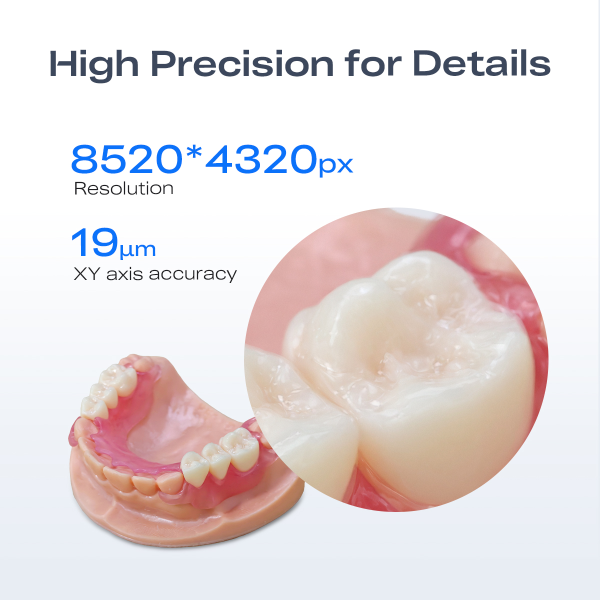 Mini-Hochpräzisions-Dental-3D- – 3D Printing Orthodontics Bewertung und Preis