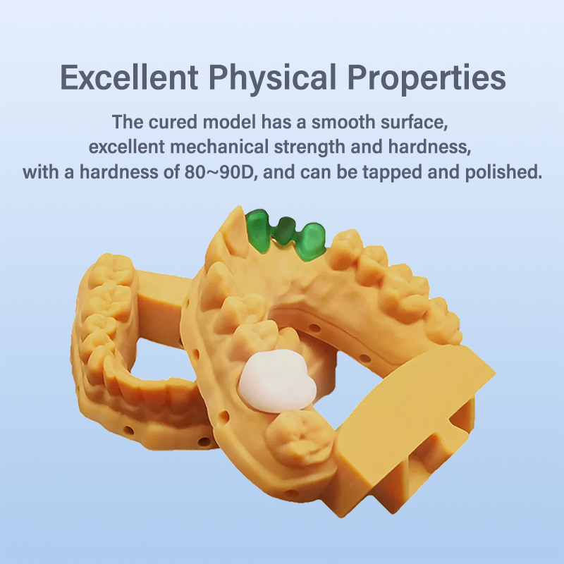 Antinsky Temporäres Zahnmodell – 3D Printing Orthodontics Bewertung und Preis